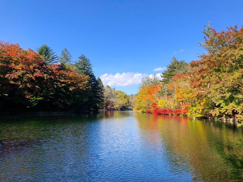 雲場池紅葉2_20191104_編集済.JPG