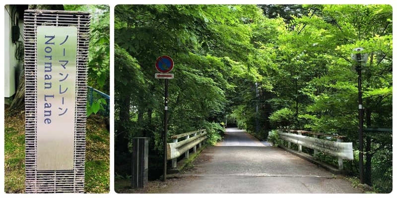 軽井沢の小道～自然を楽しむ～