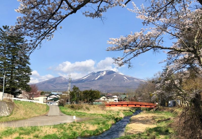 浅間山と桜