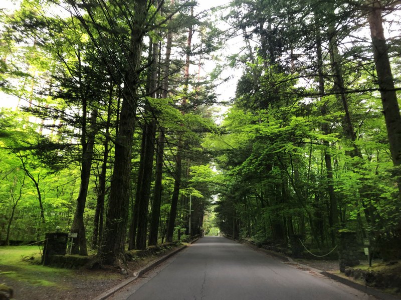 土地だけで数億円！？高級別荘地、旧軽井沢をご紹介します【軽井沢の別荘】