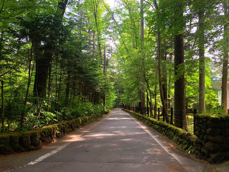 軽井沢で楽しめる、気持ちのいいサイクリングコースをご紹介します