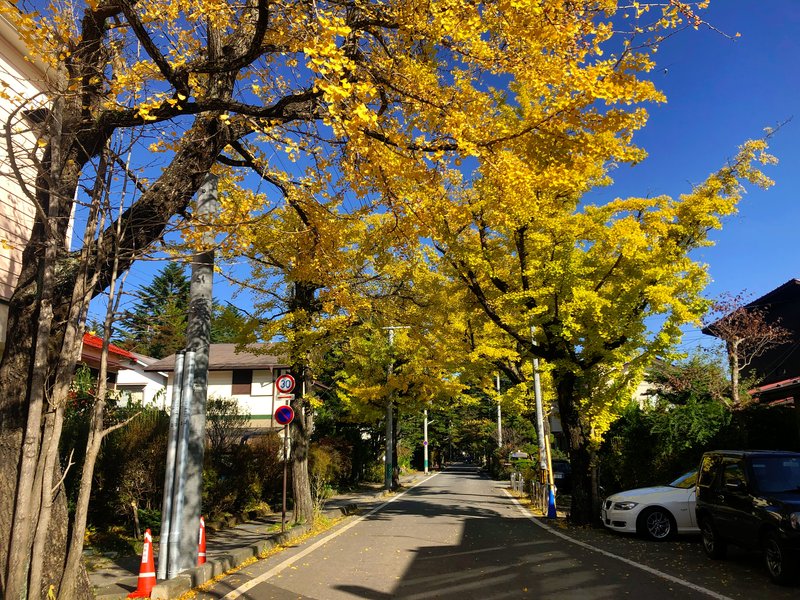軽井沢に行きたい方必見！おすすめの絶景スポットを紹介します！