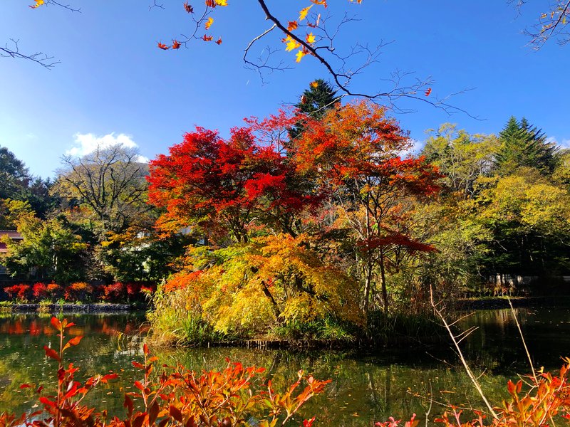 雲場池の紅葉がとても綺麗でした！