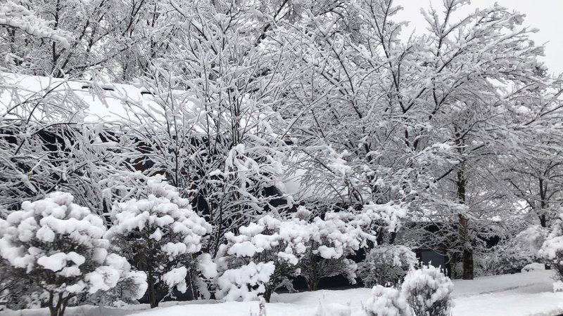 軽井沢の冬は魅力が満載！軽井沢ならではの楽しみ方をお伝えします！