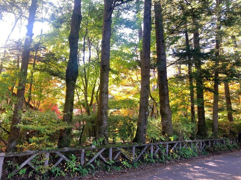 秋の軽井沢の魅力とは！おすすめスポットや紅葉について解説します