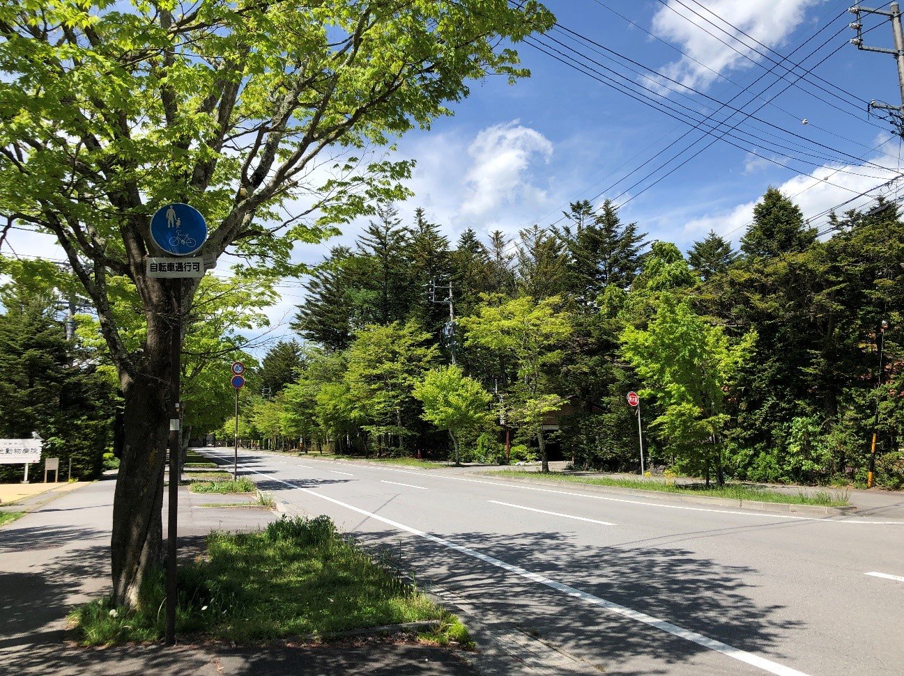 軽井沢のおすすめのサイクリングコースと注意点をご紹介します！