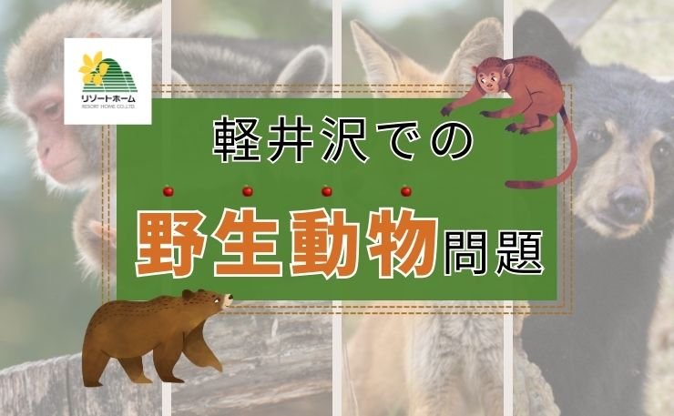  軽井沢での野生動物問題