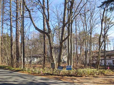 追分 売り土地2,500万円