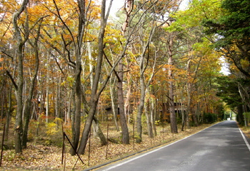 笑坂別荘地 全4区画 写真1