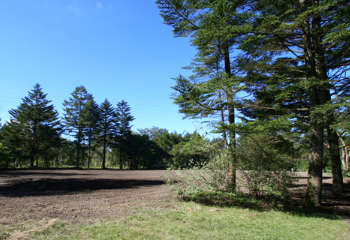 軽井沢RESORT 分譲地